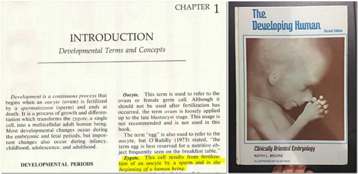 The Developing Human by Keith Moore et al