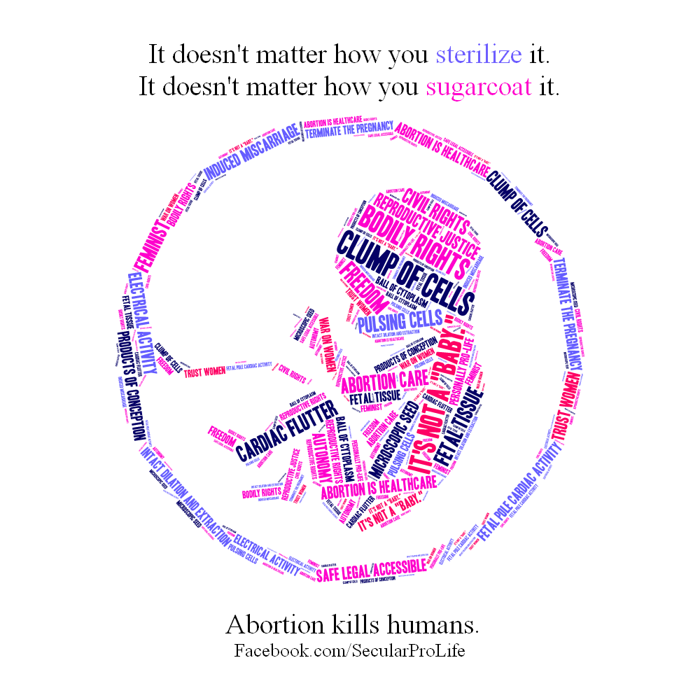 It doesn't matter how you sterilize or sugarcoat it: abortion kills humans.