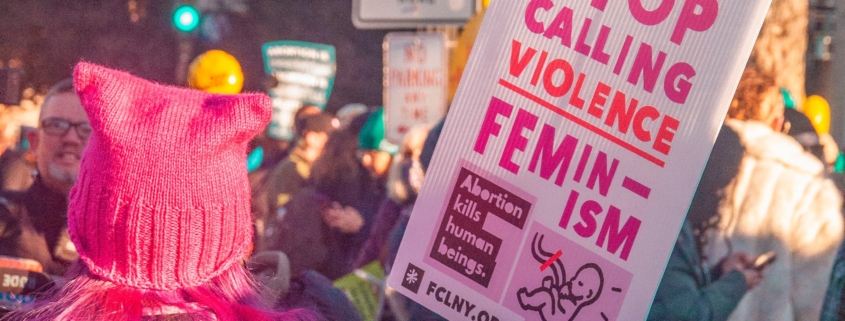 Woman marches with a sign that reads "Stop calling violence feminism"