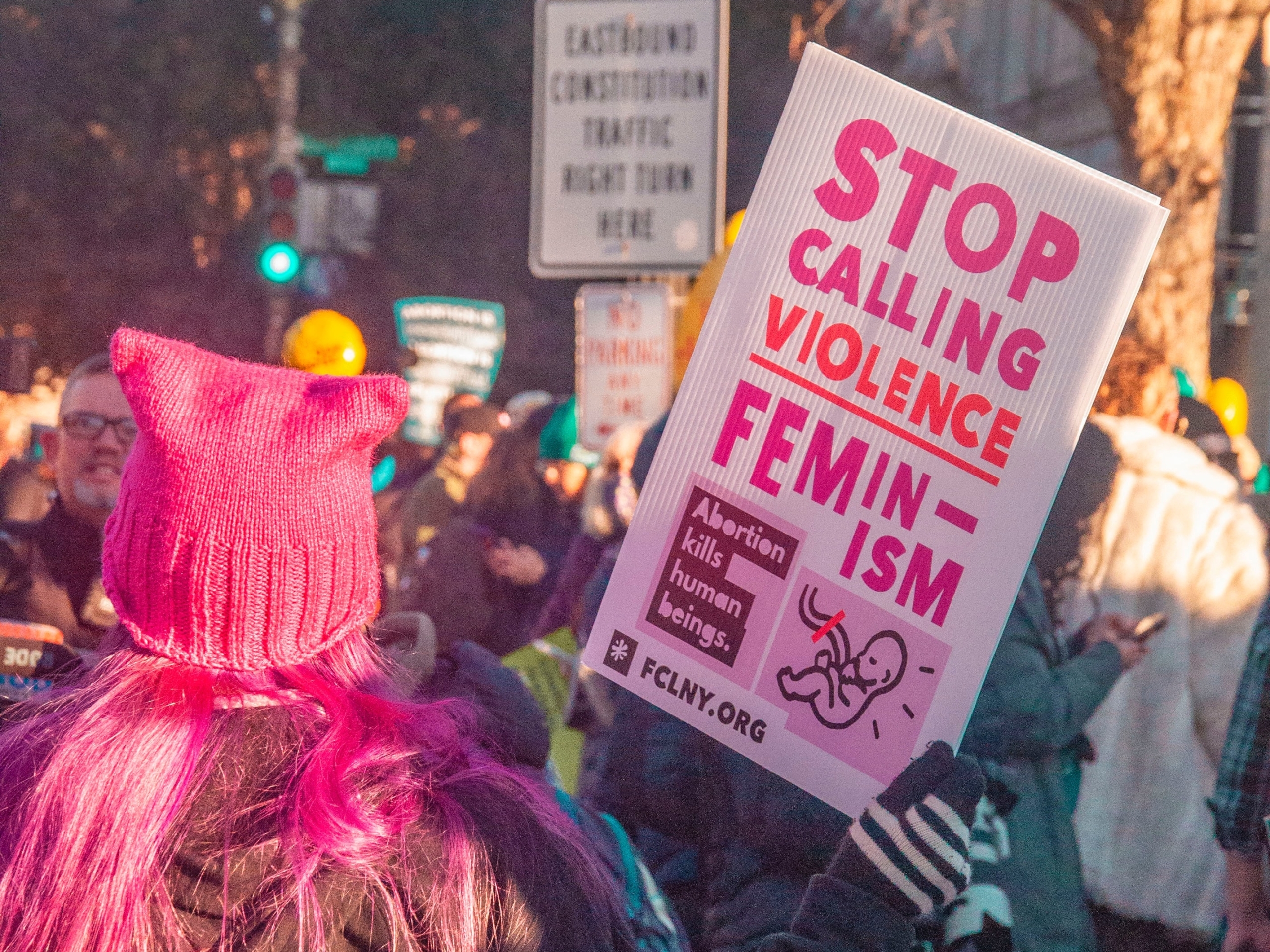 Woman wearing pink hat and holding a sign that says "Stop calling violence feminism"