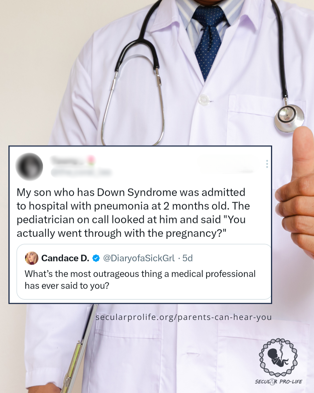 2024.11.16 the_coral_lea