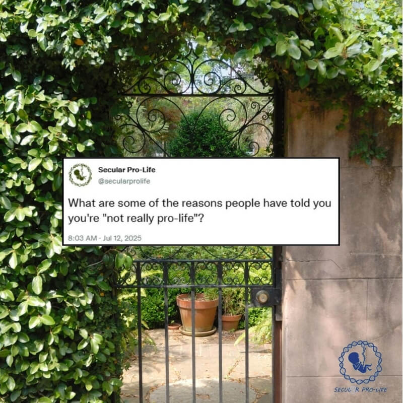 WAYA “not really pro-life”