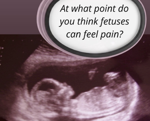 we asked you answered (WAYA) - fetal pain