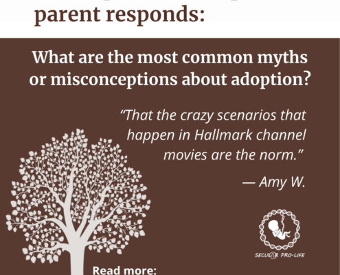 Amy W adoptee and adoptive parent story tree
