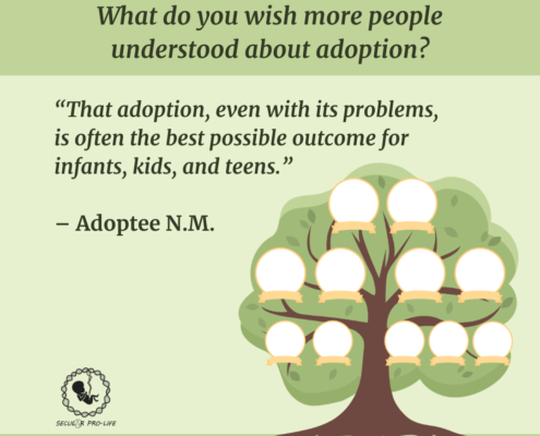 Adoptee NM - tree pic