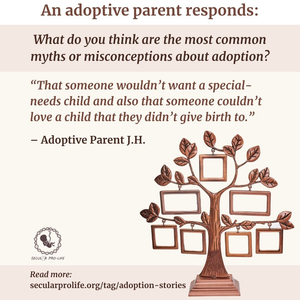 9.16 adoption story family tree