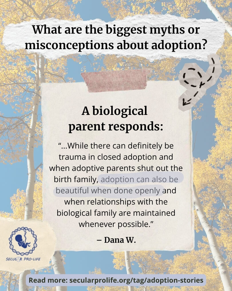 adoption stories, Dana W, biological parent